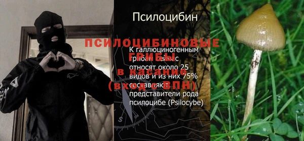 прущий лед Алексин