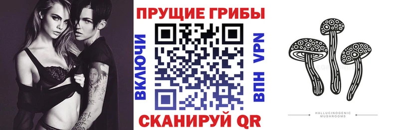 Псилоцибиновые грибы Magic Shrooms  закладка  Магадан 
